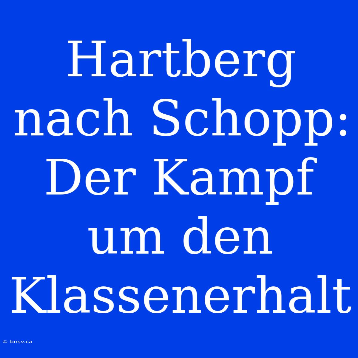 Hartberg Nach Schopp: Der Kampf Um Den Klassenerhalt