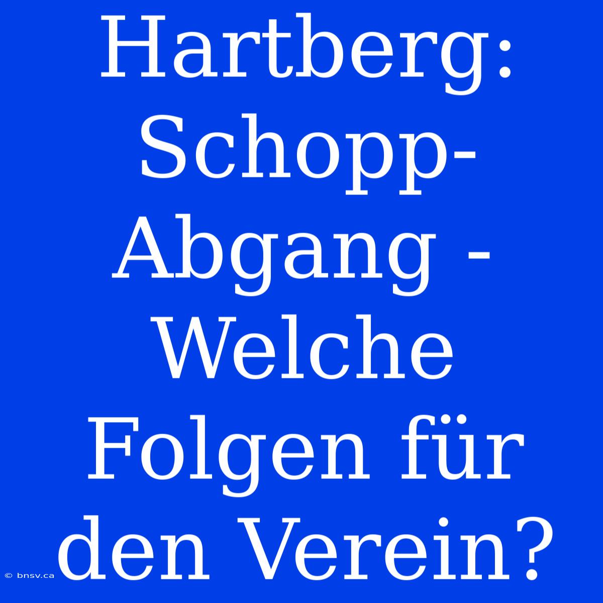 Hartberg: Schopp-Abgang - Welche Folgen Für Den Verein?