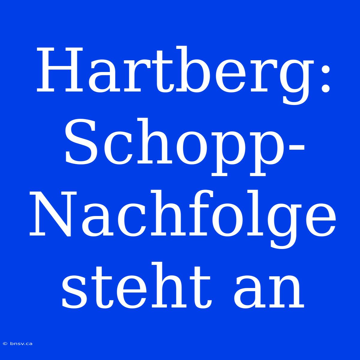 Hartberg: Schopp-Nachfolge Steht An