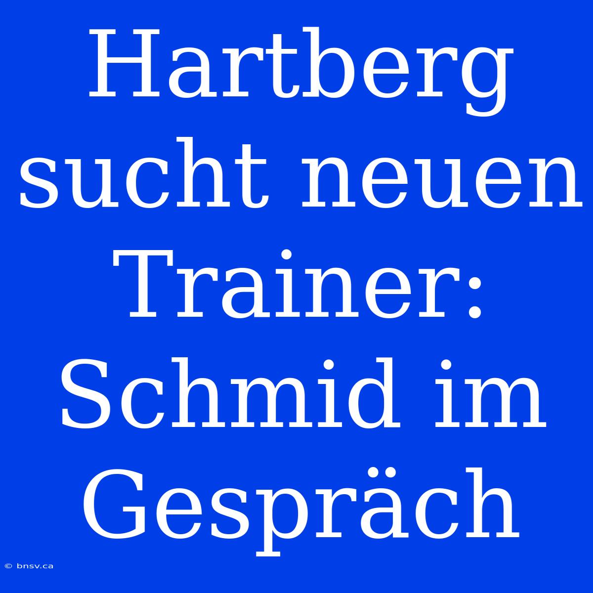 Hartberg Sucht Neuen Trainer: Schmid Im Gespräch