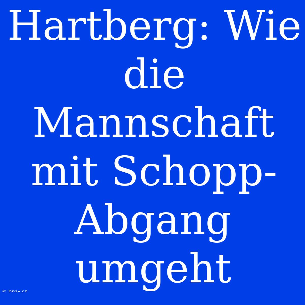 Hartberg: Wie Die Mannschaft Mit Schopp-Abgang Umgeht