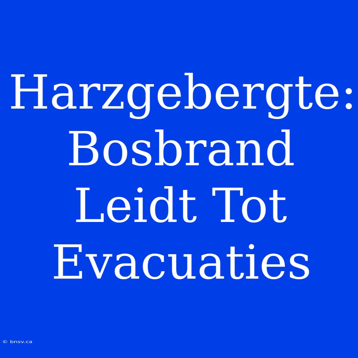 Harzgebergte: Bosbrand Leidt Tot Evacuaties