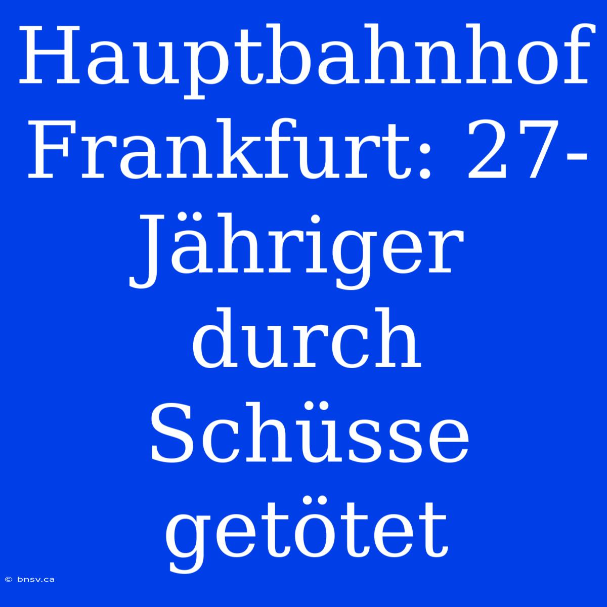 Hauptbahnhof Frankfurt: 27-Jähriger Durch Schüsse Getötet