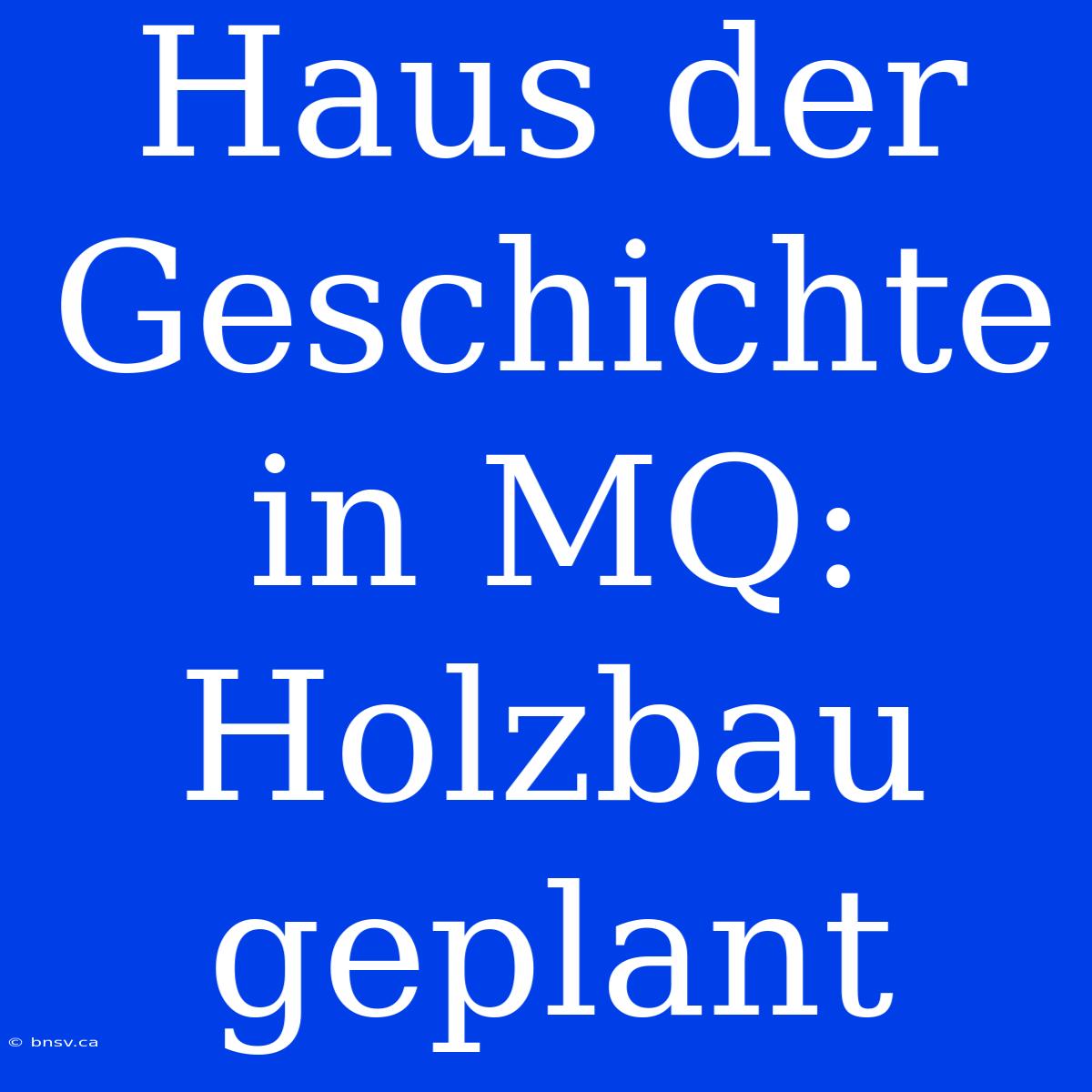 Haus Der Geschichte In MQ: Holzbau Geplant