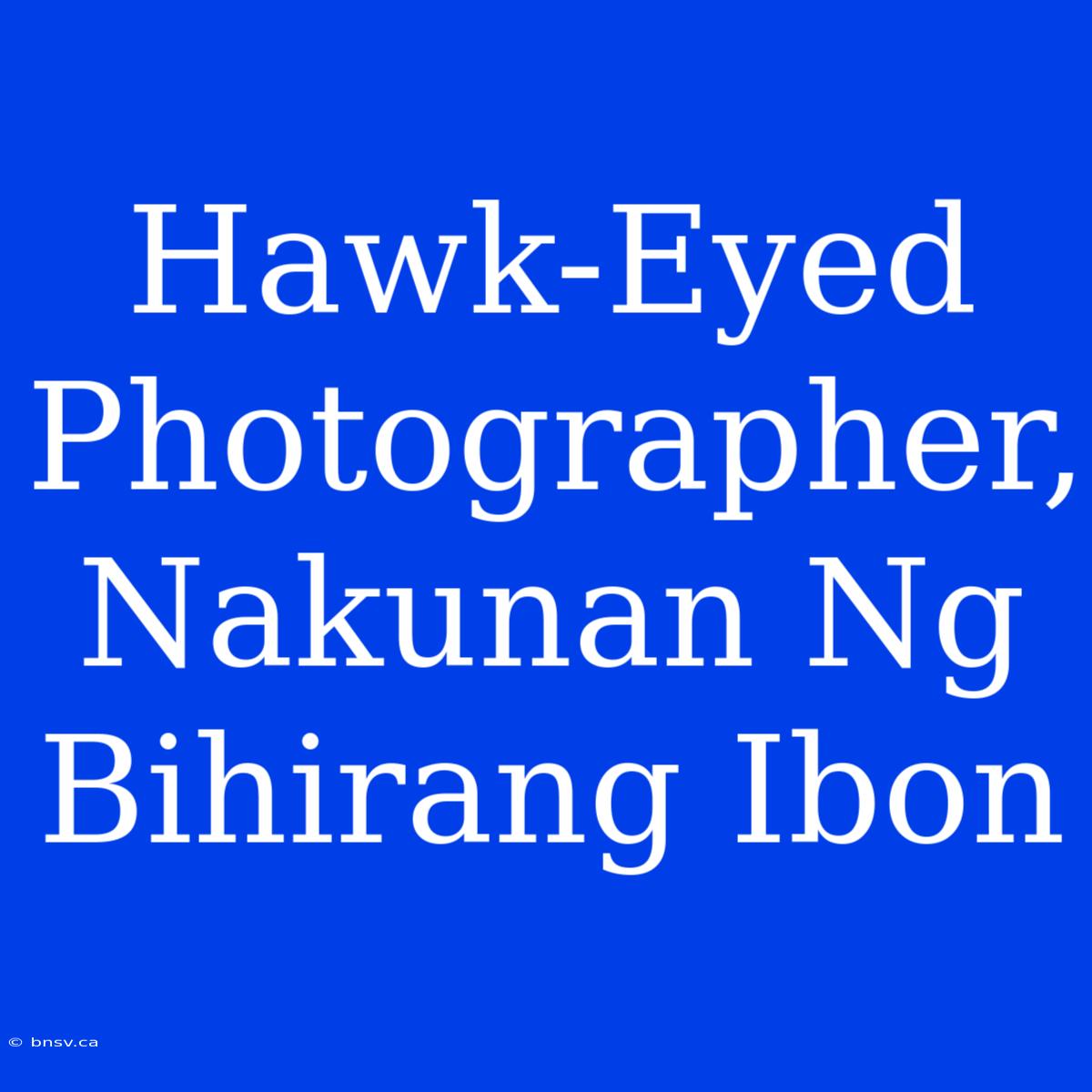 Hawk-Eyed Photographer, Nakunan Ng Bihirang Ibon