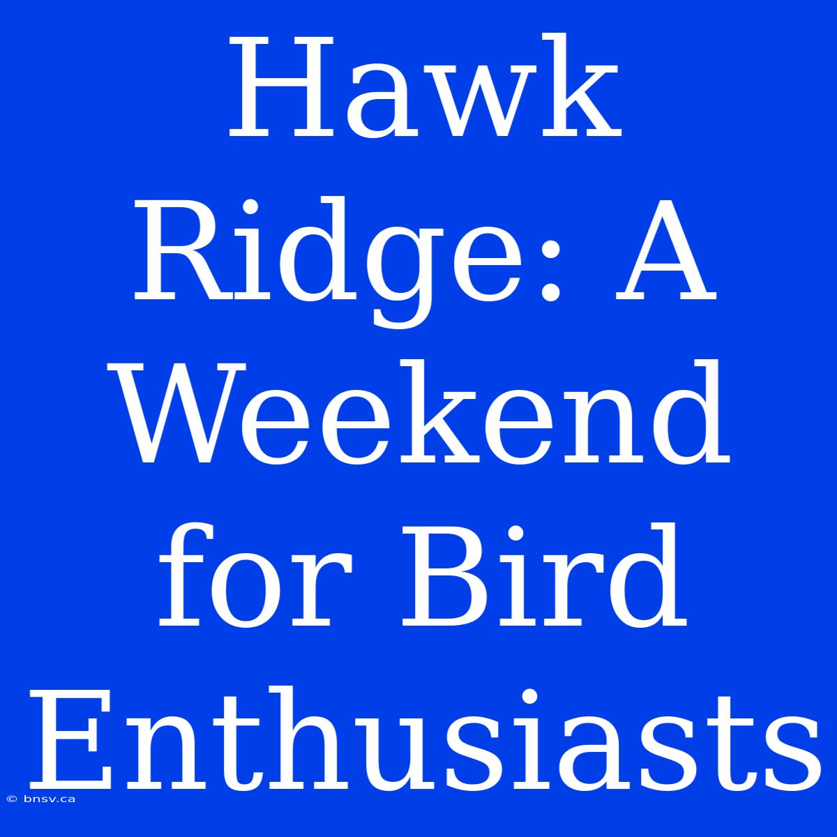 Hawk Ridge: A Weekend For Bird Enthusiasts