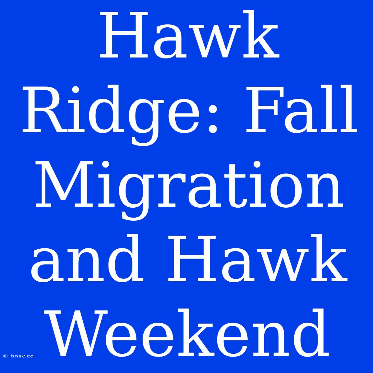 Hawk Ridge: Fall Migration And Hawk Weekend