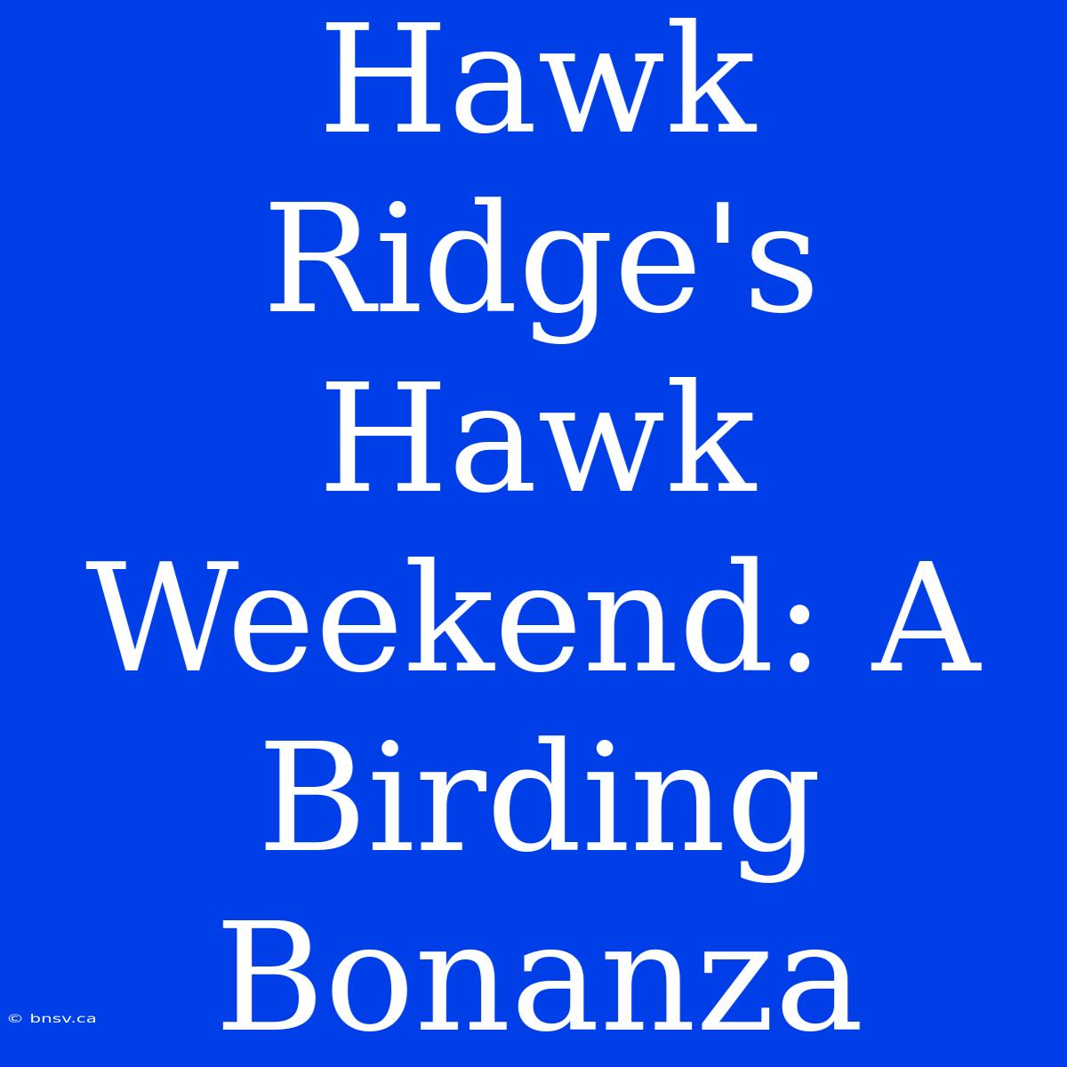 Hawk Ridge's Hawk Weekend: A Birding Bonanza