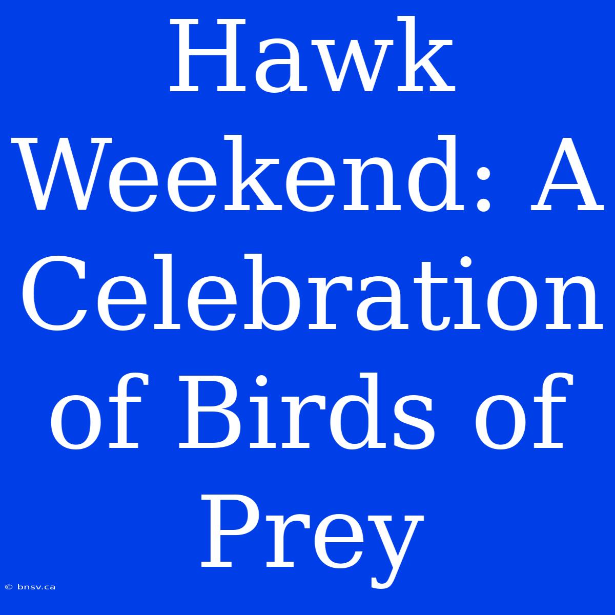 Hawk Weekend: A Celebration Of Birds Of Prey