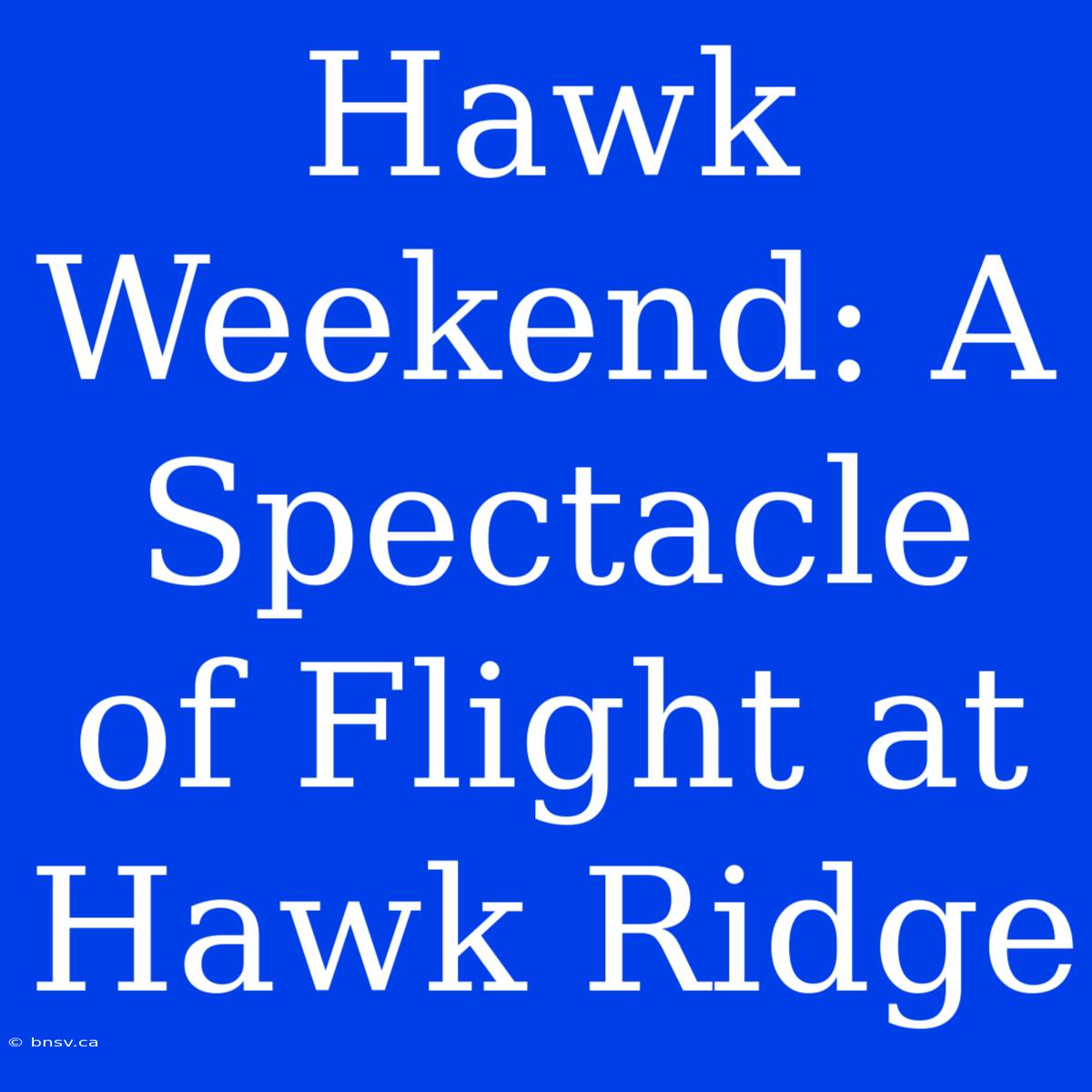 Hawk Weekend: A Spectacle Of Flight At Hawk Ridge