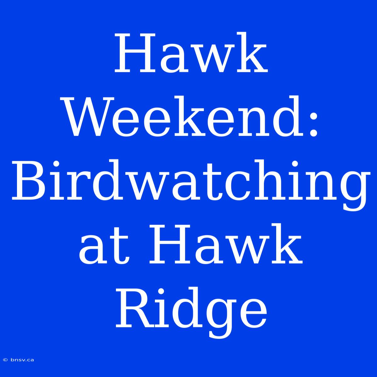 Hawk Weekend: Birdwatching At Hawk Ridge