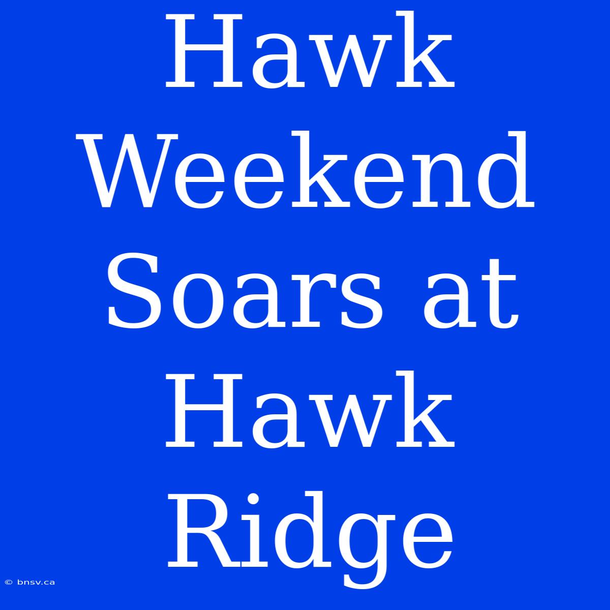 Hawk Weekend Soars At Hawk Ridge