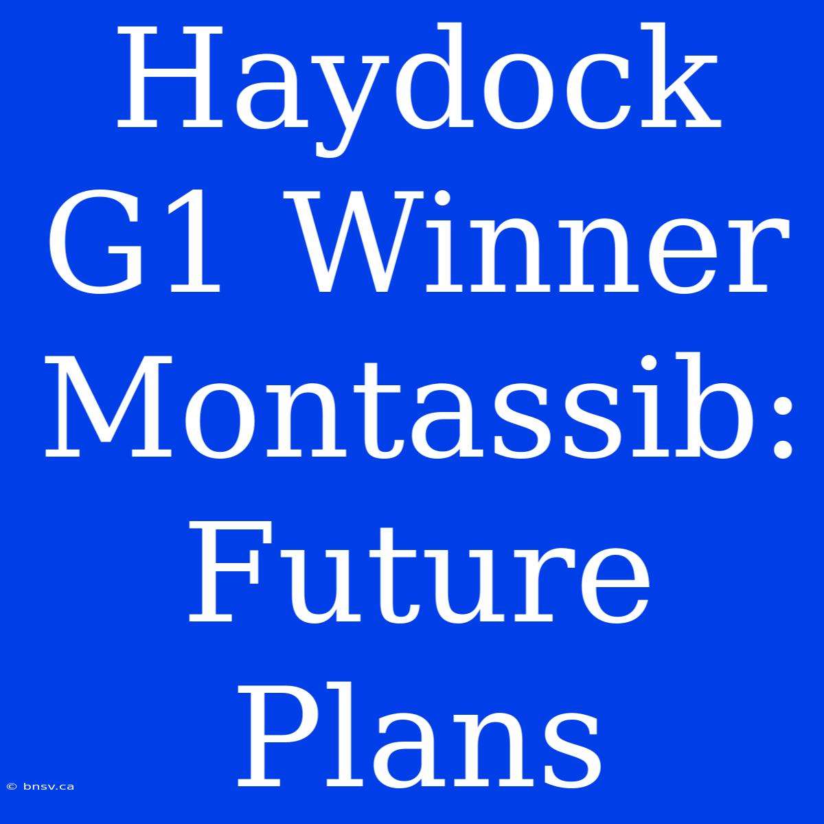 Haydock G1 Winner Montassib:  Future Plans