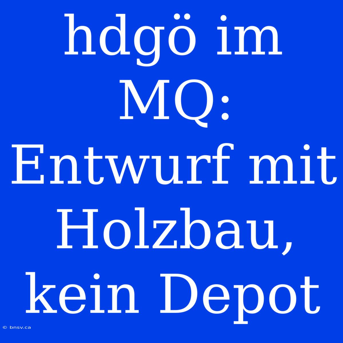 Hdgö Im MQ: Entwurf Mit Holzbau, Kein Depot