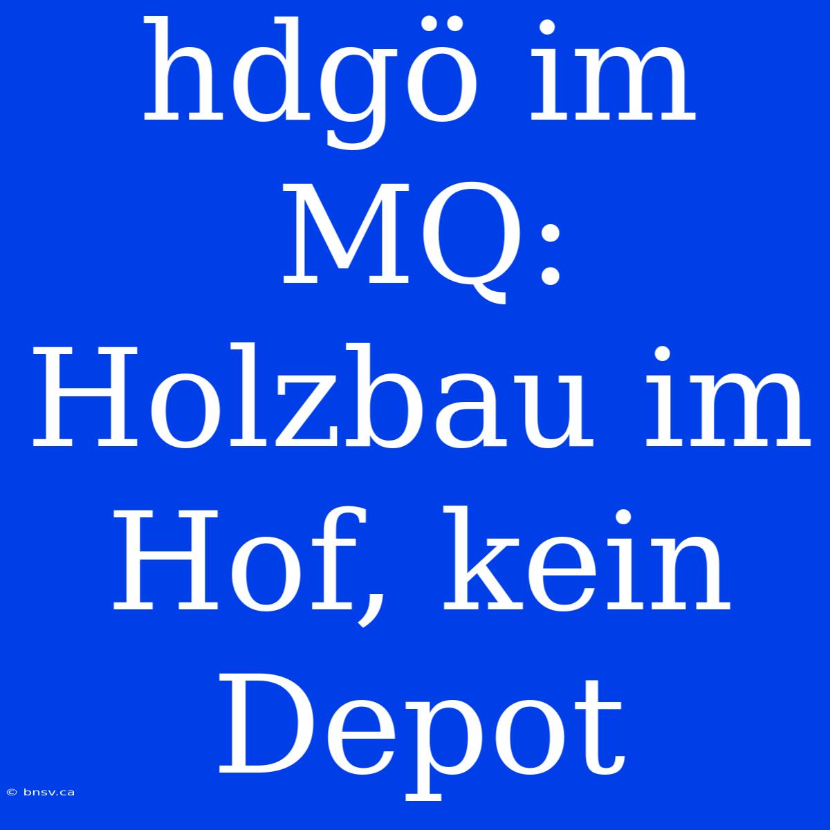 Hdgö Im MQ: Holzbau Im Hof, Kein Depot