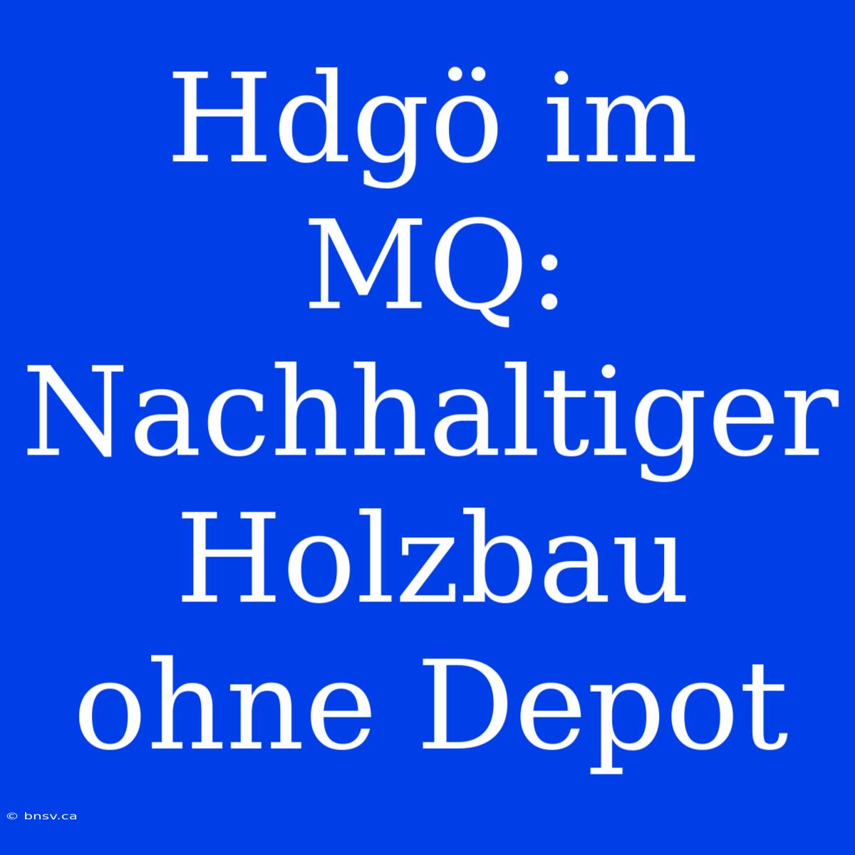 Hdgö Im MQ: Nachhaltiger Holzbau Ohne Depot