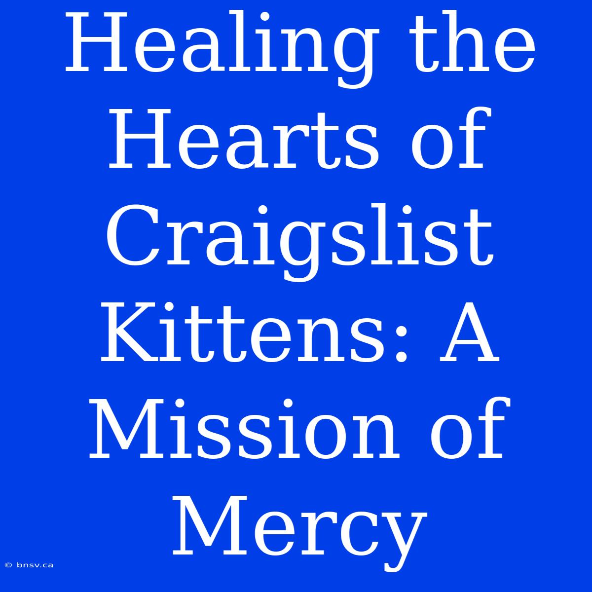 Healing The Hearts Of Craigslist Kittens: A Mission Of Mercy