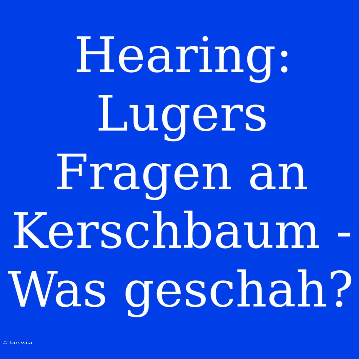 Hearing: Lugers Fragen An Kerschbaum - Was Geschah?