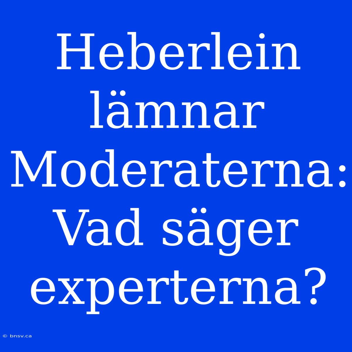 Heberlein Lämnar Moderaterna: Vad Säger Experterna?