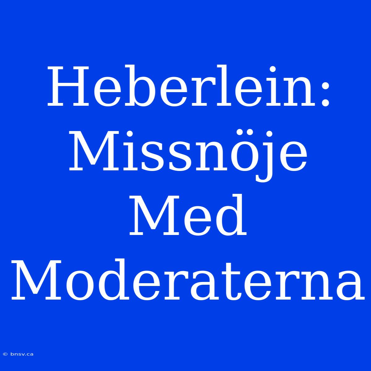 Heberlein: Missnöje Med Moderaterna