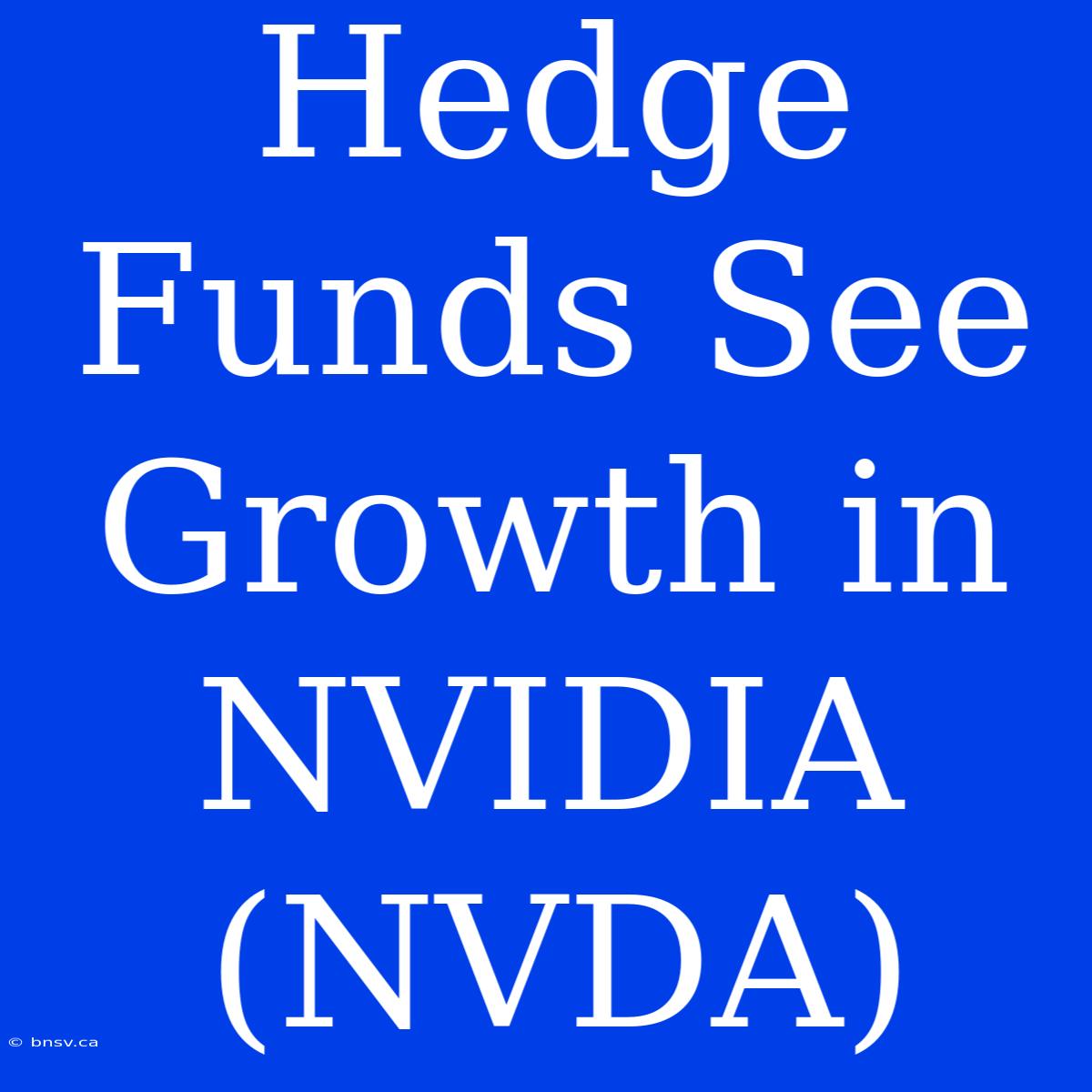 Hedge Funds See Growth In NVIDIA (NVDA)