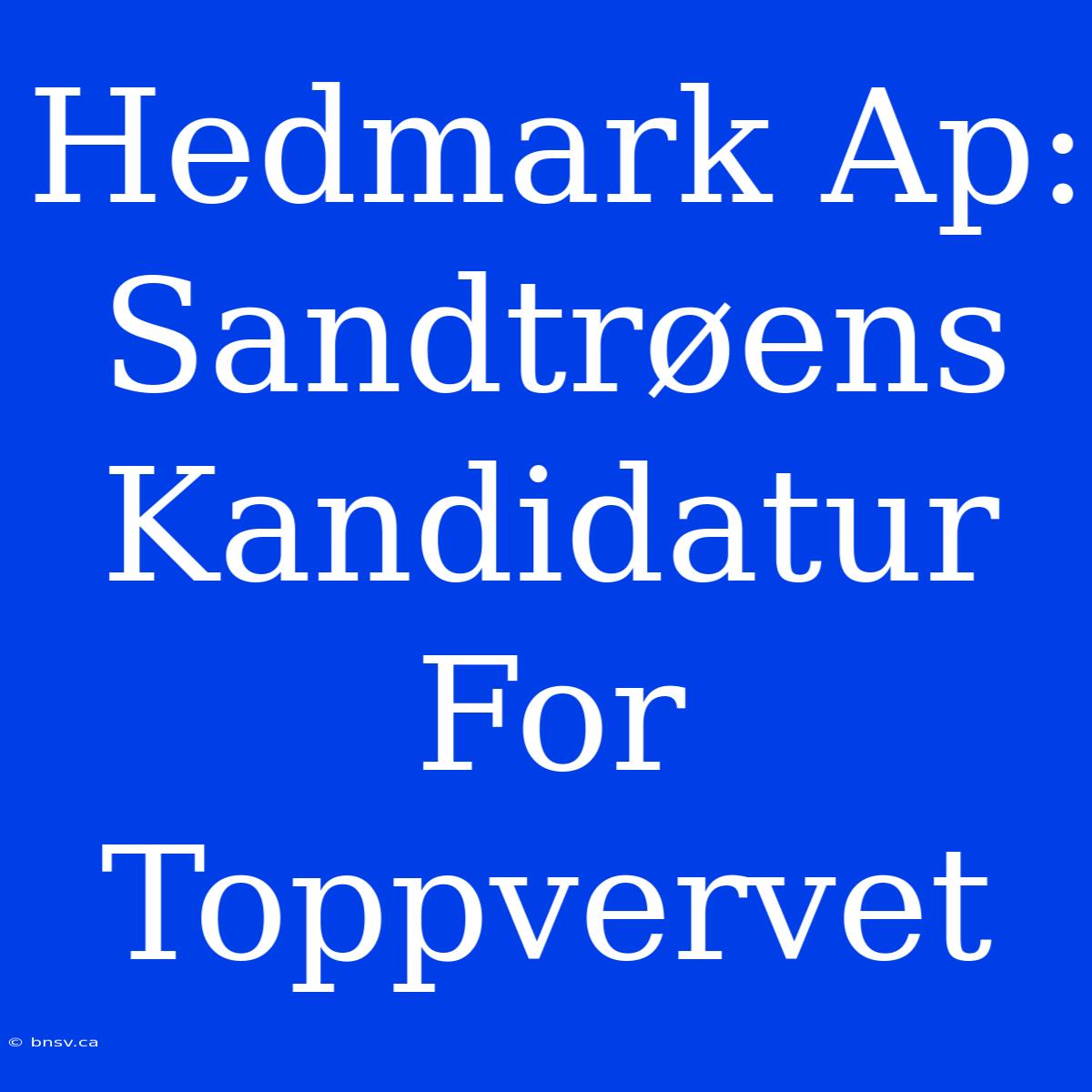 Hedmark Ap: Sandtrøens Kandidatur For Toppvervet