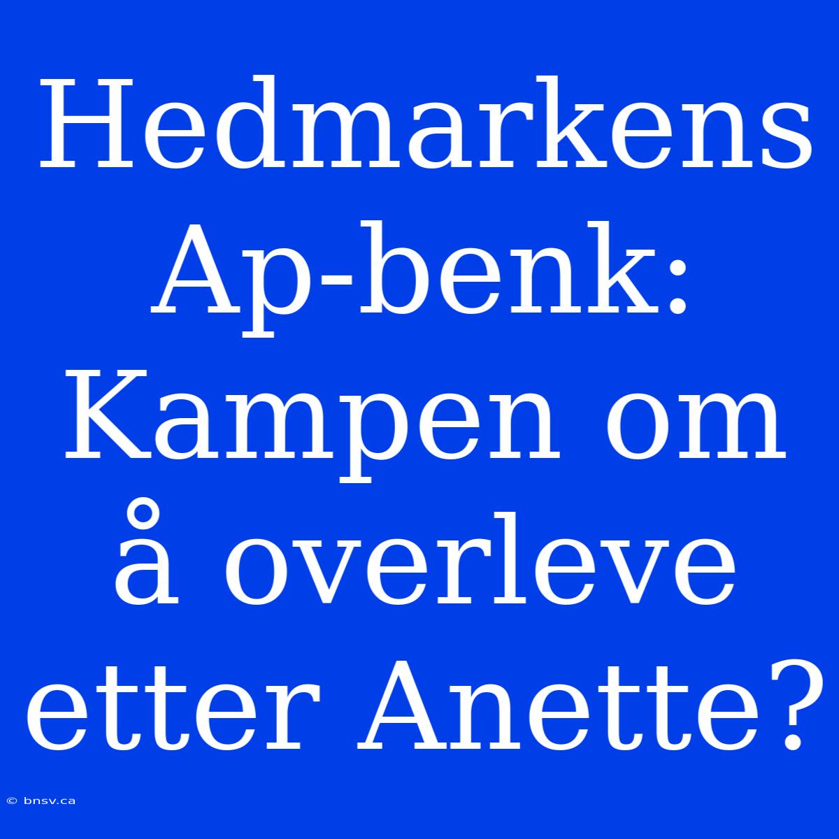 Hedmarkens Ap-benk: Kampen Om Å Overleve Etter Anette?