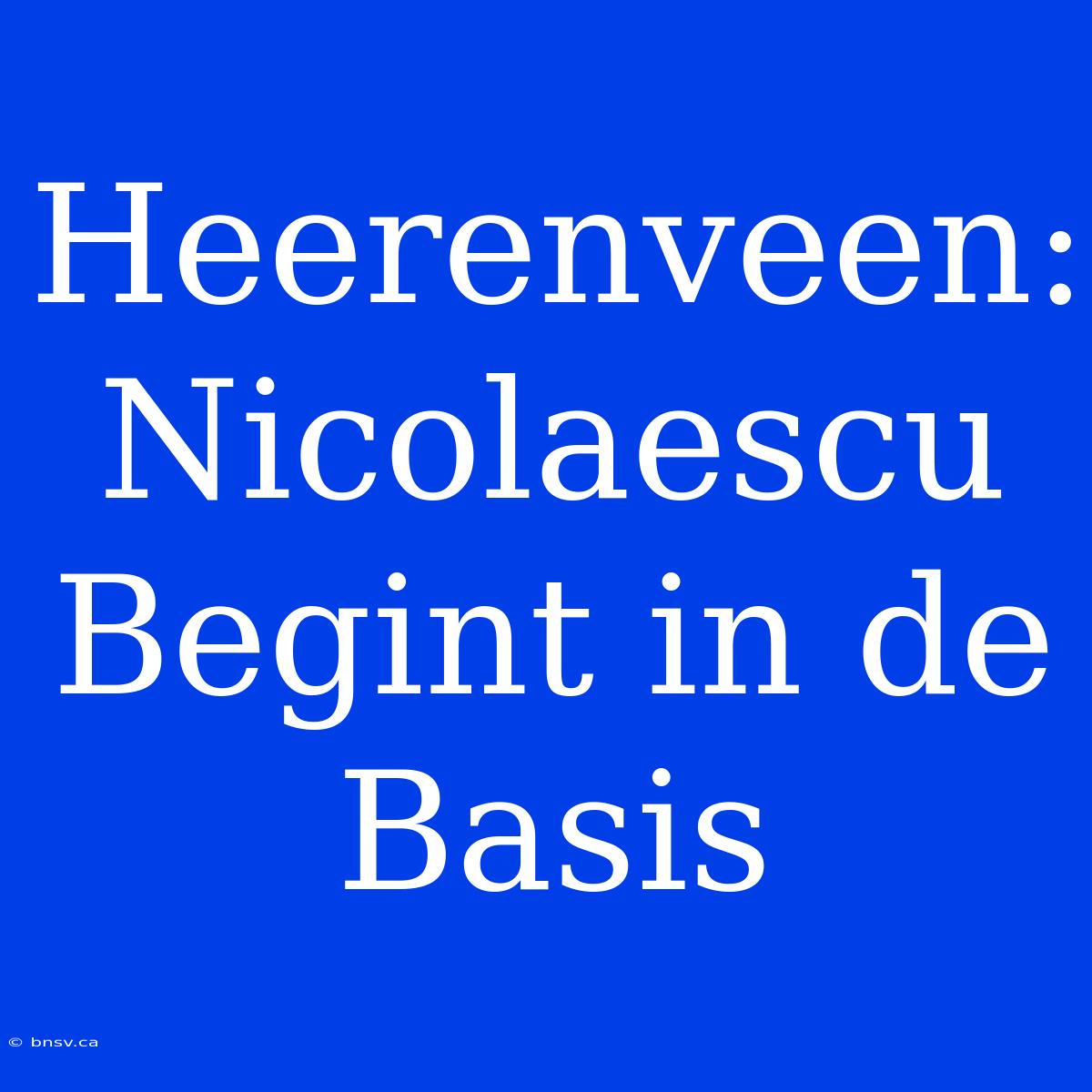 Heerenveen: Nicolaescu Begint In De Basis