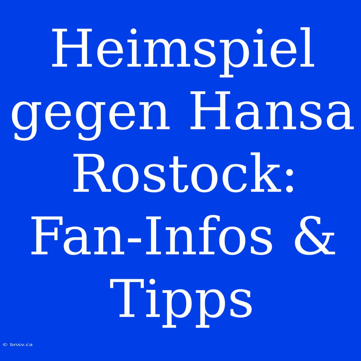 Heimspiel Gegen Hansa Rostock: Fan-Infos & Tipps