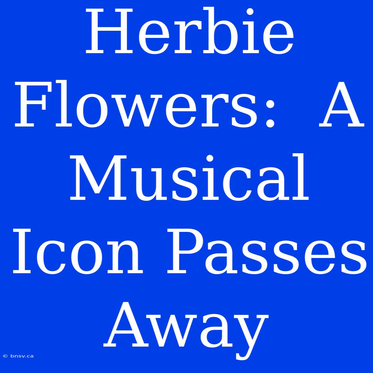 Herbie Flowers:  A Musical Icon Passes Away