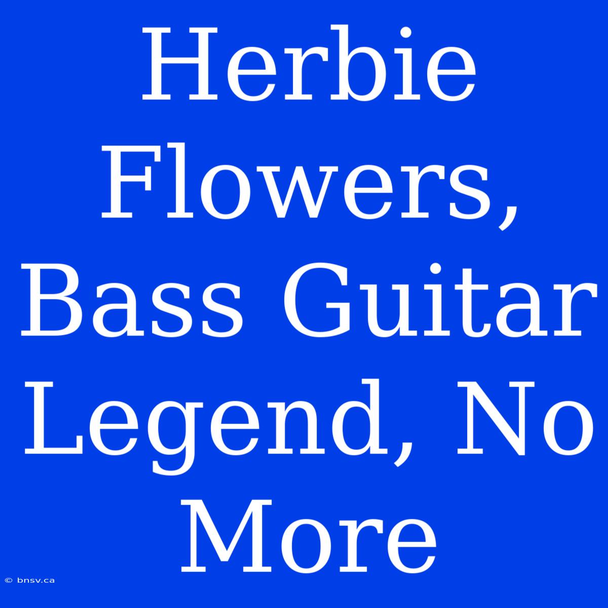 Herbie Flowers, Bass Guitar Legend, No More