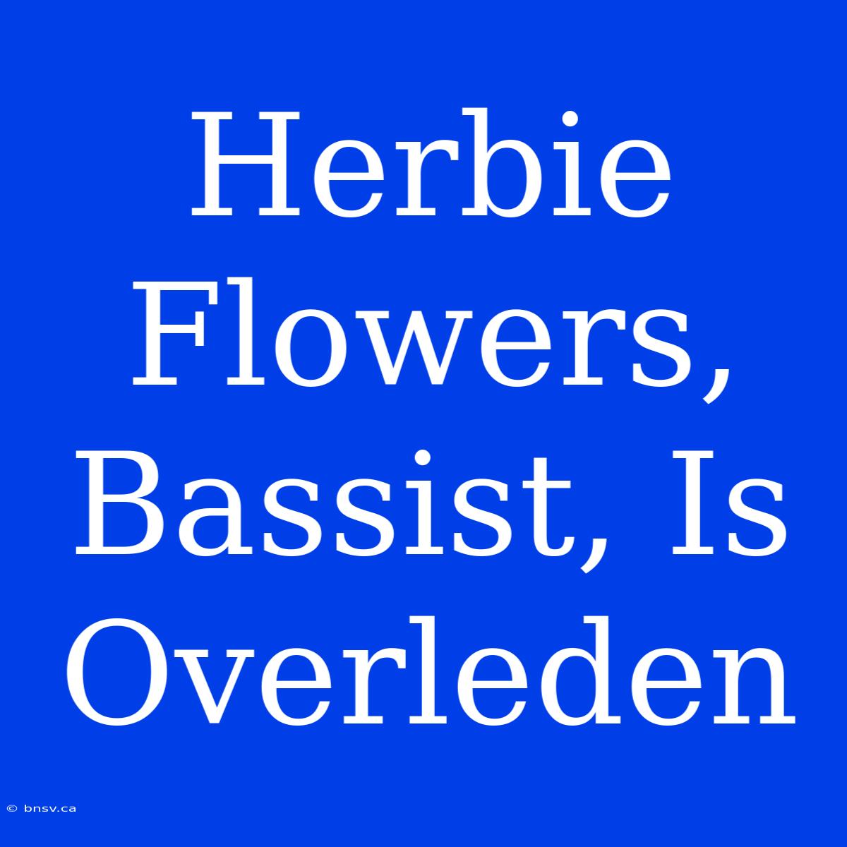 Herbie Flowers, Bassist, Is Overleden