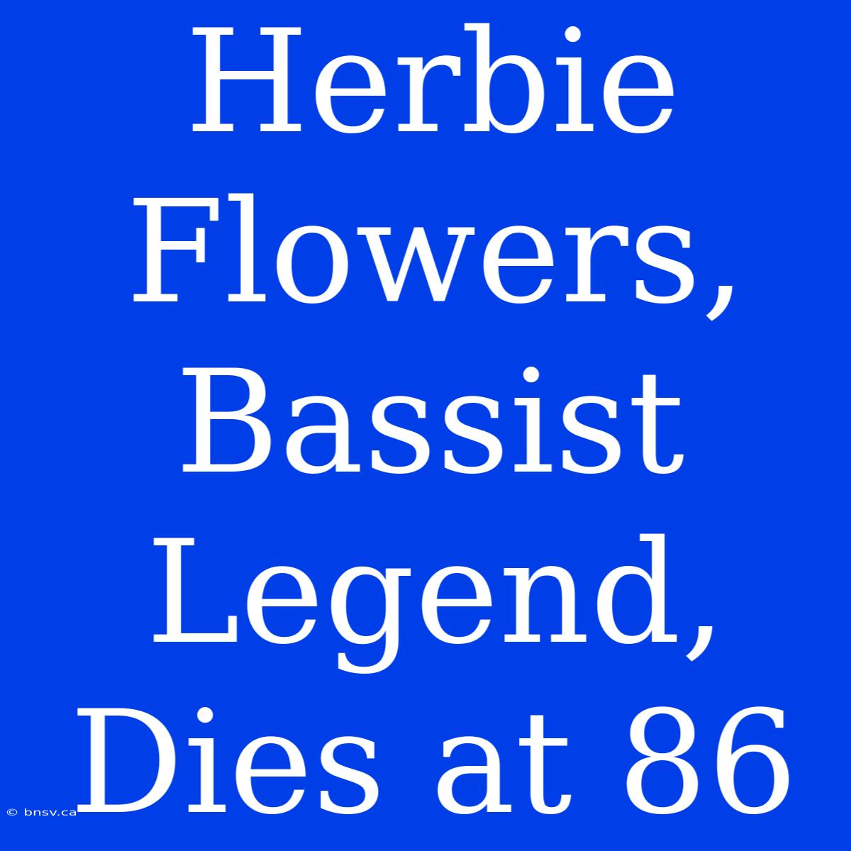 Herbie Flowers, Bassist Legend, Dies At 86