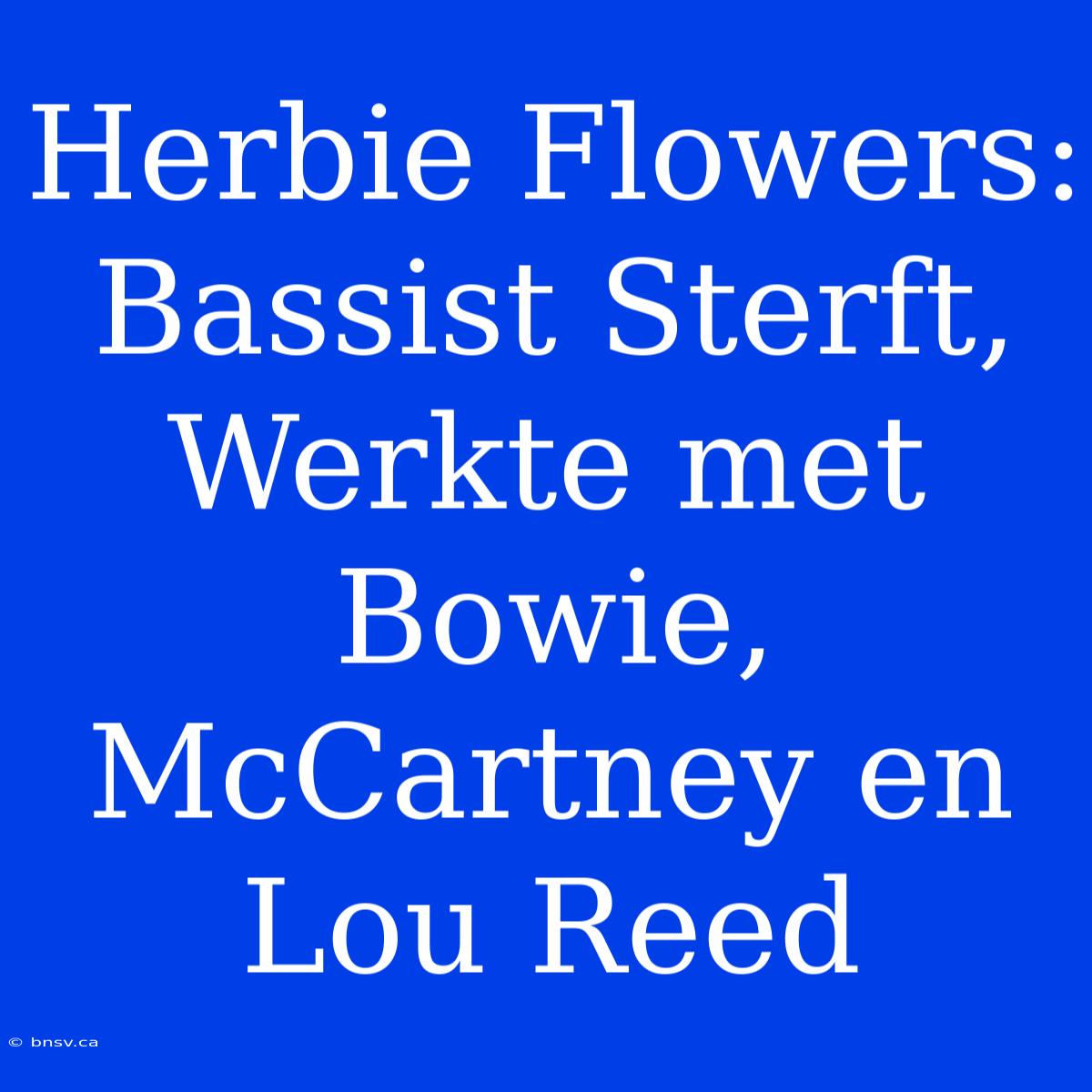 Herbie Flowers:  Bassist Sterft, Werkte Met Bowie, McCartney En Lou Reed