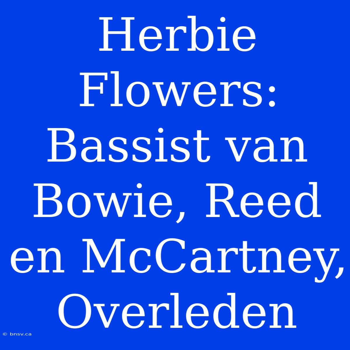 Herbie Flowers:  Bassist Van Bowie, Reed En McCartney, Overleden