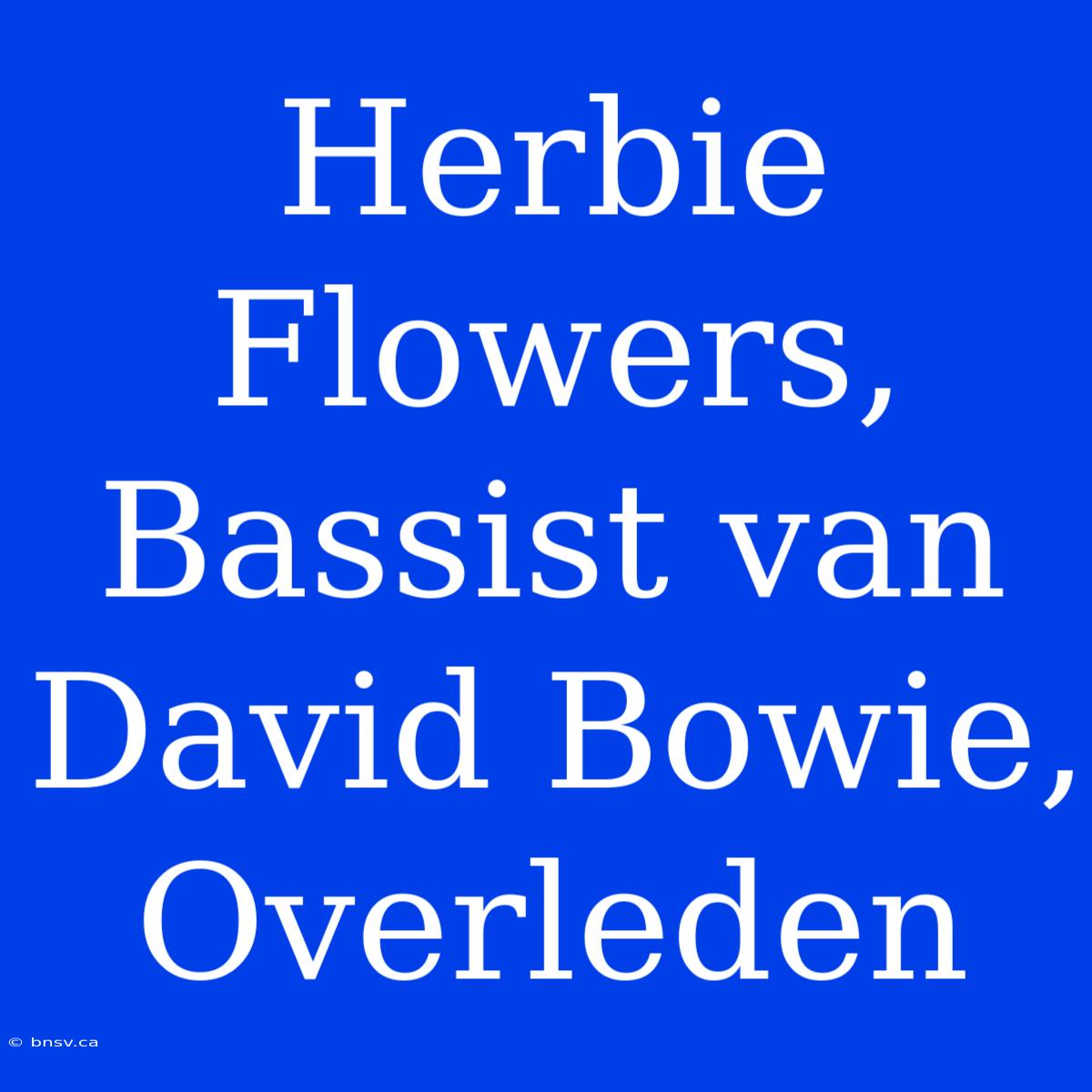 Herbie Flowers, Bassist Van David Bowie, Overleden