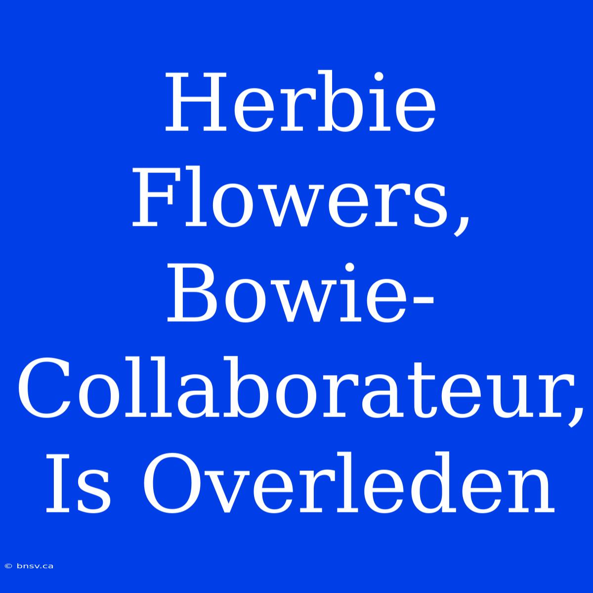 Herbie Flowers, Bowie-Collaborateur, Is Overleden