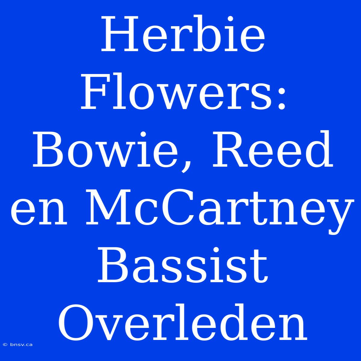 Herbie Flowers:  Bowie, Reed En McCartney Bassist Overleden