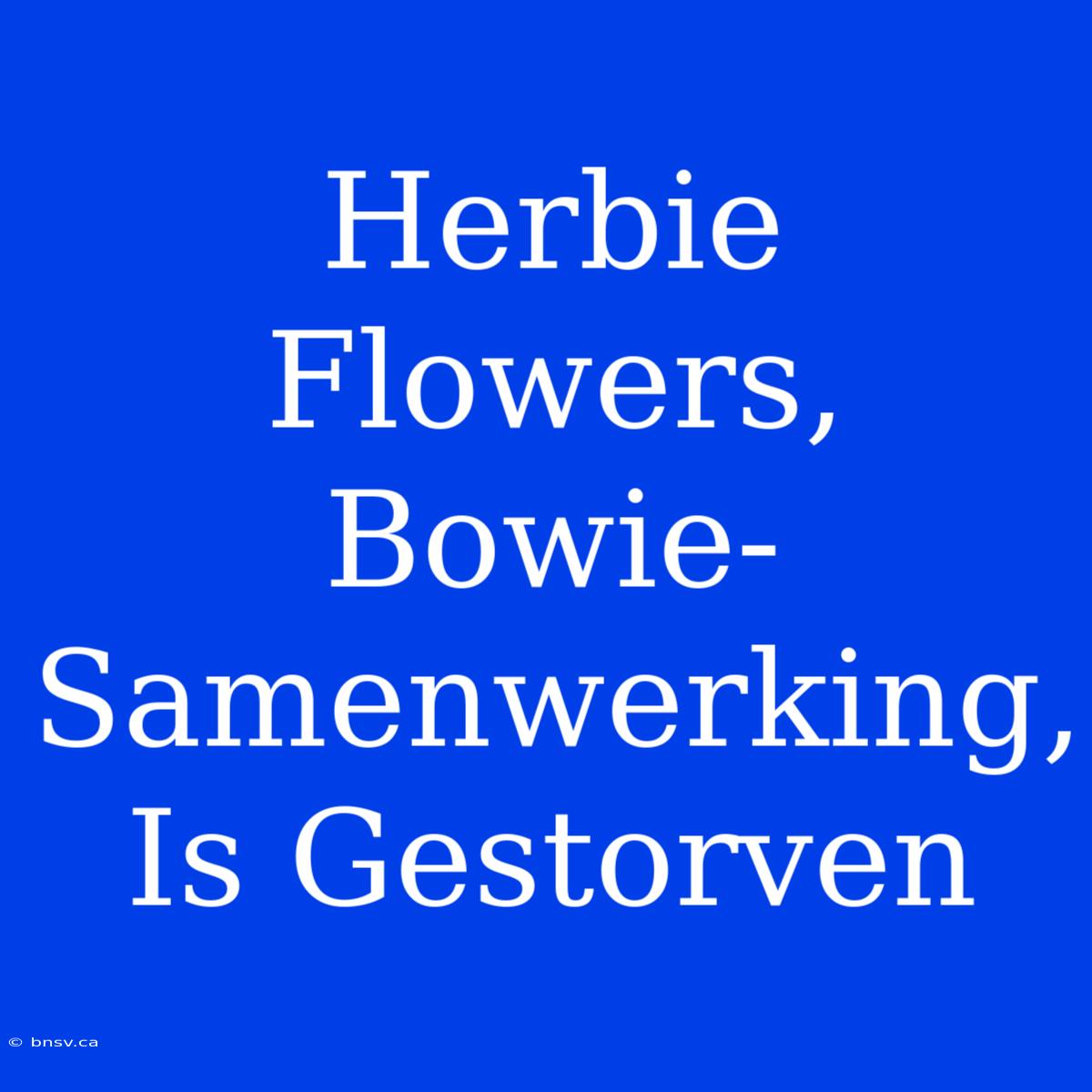 Herbie Flowers, Bowie-Samenwerking, Is Gestorven