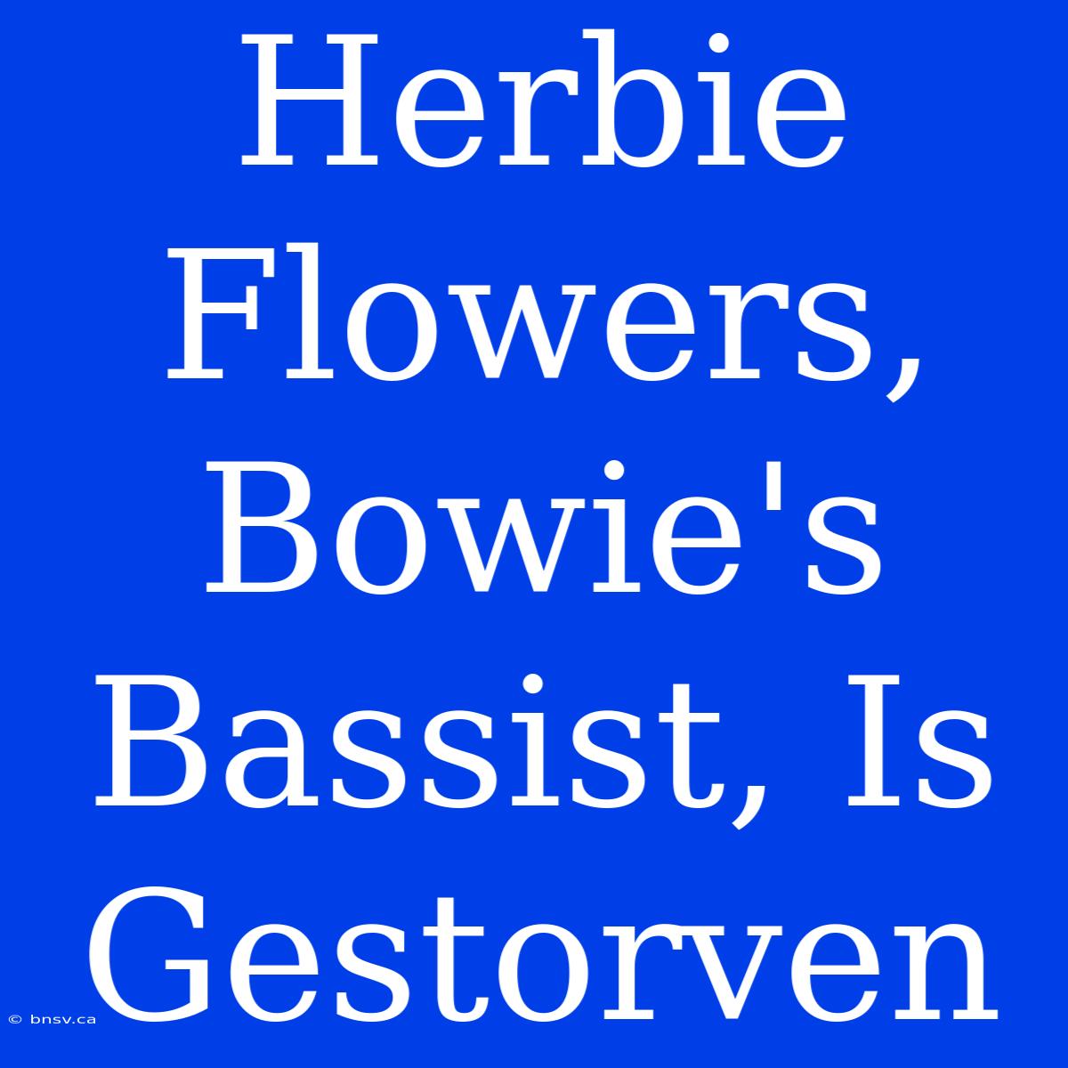 Herbie Flowers, Bowie's Bassist, Is Gestorven