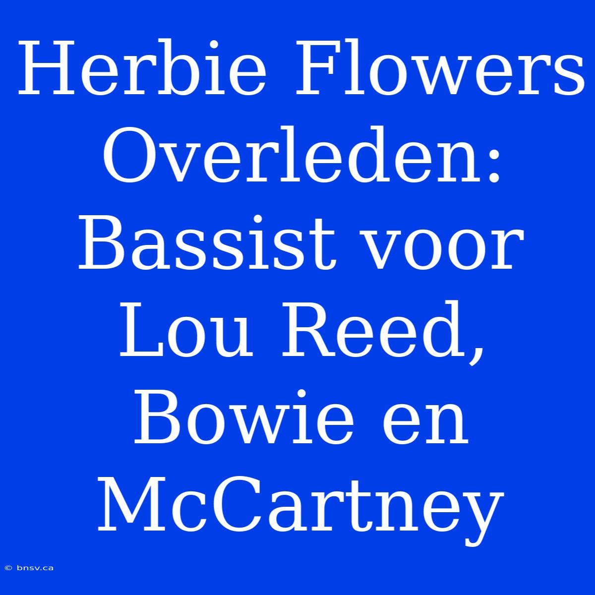 Herbie Flowers Overleden: Bassist Voor Lou Reed, Bowie En McCartney