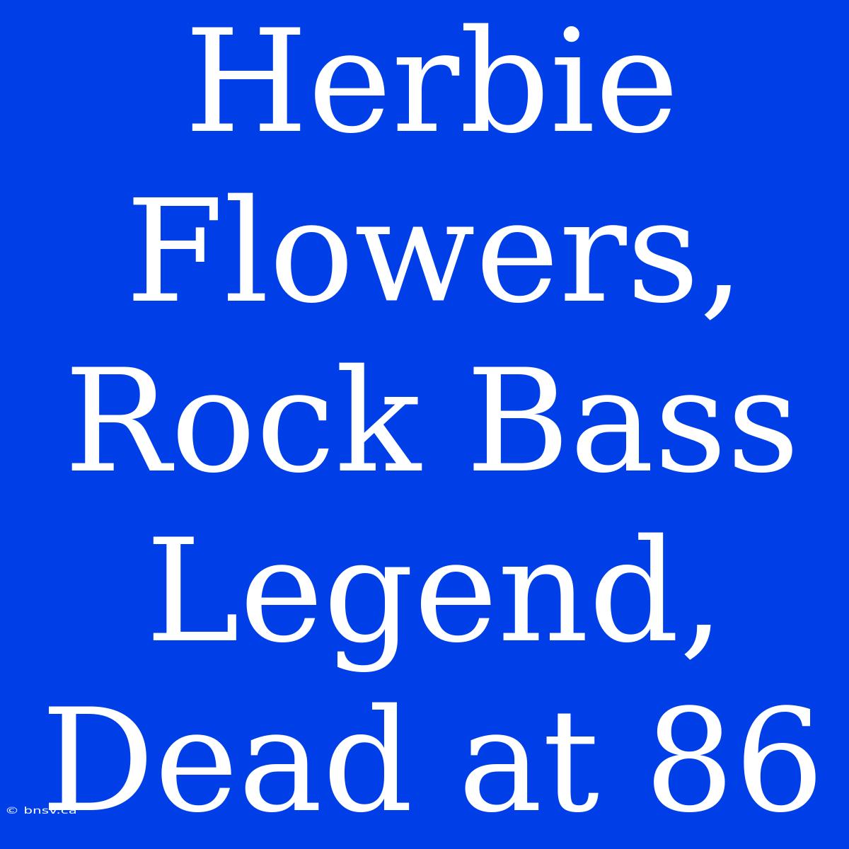 Herbie Flowers, Rock Bass Legend,  Dead At 86