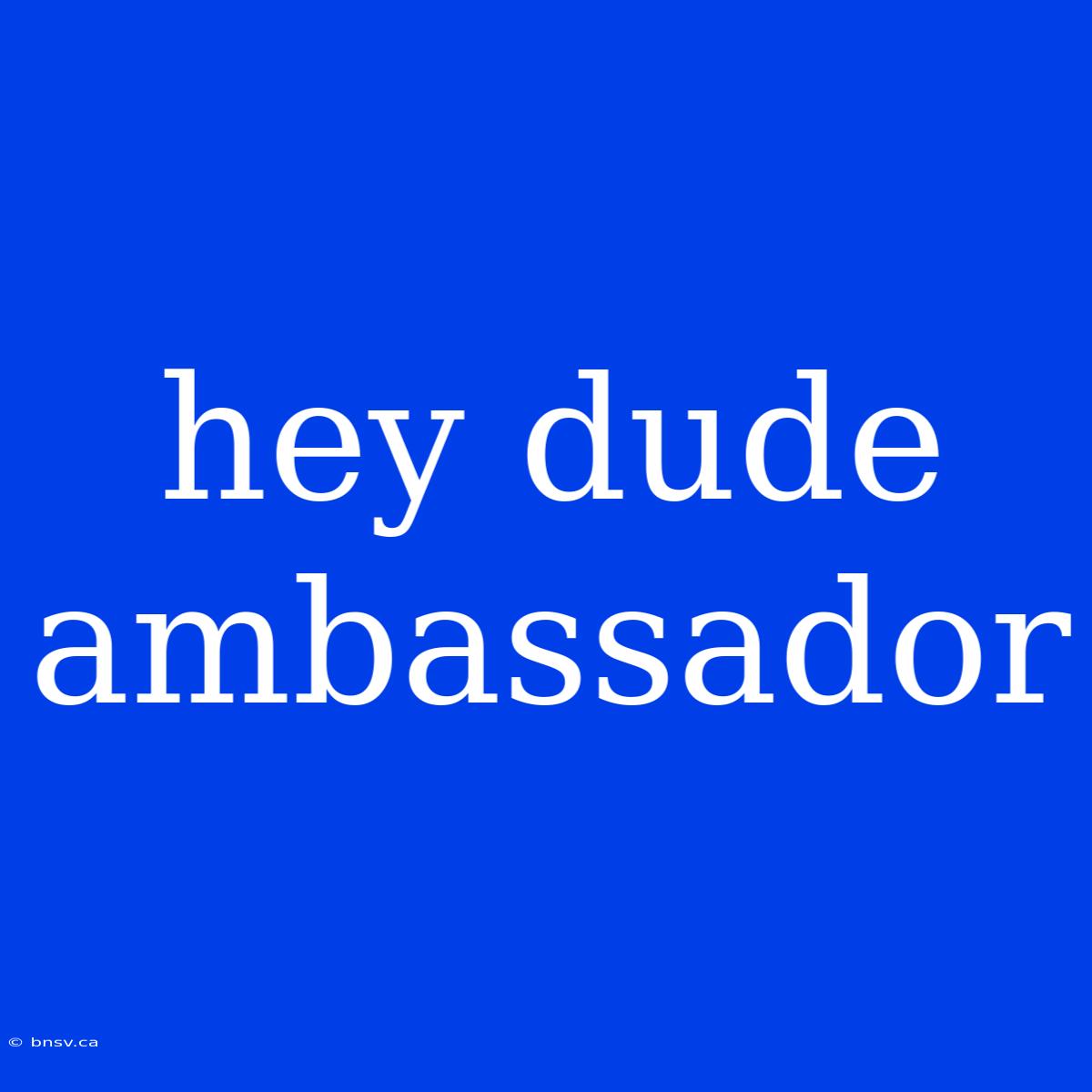 Hey Dude Ambassador