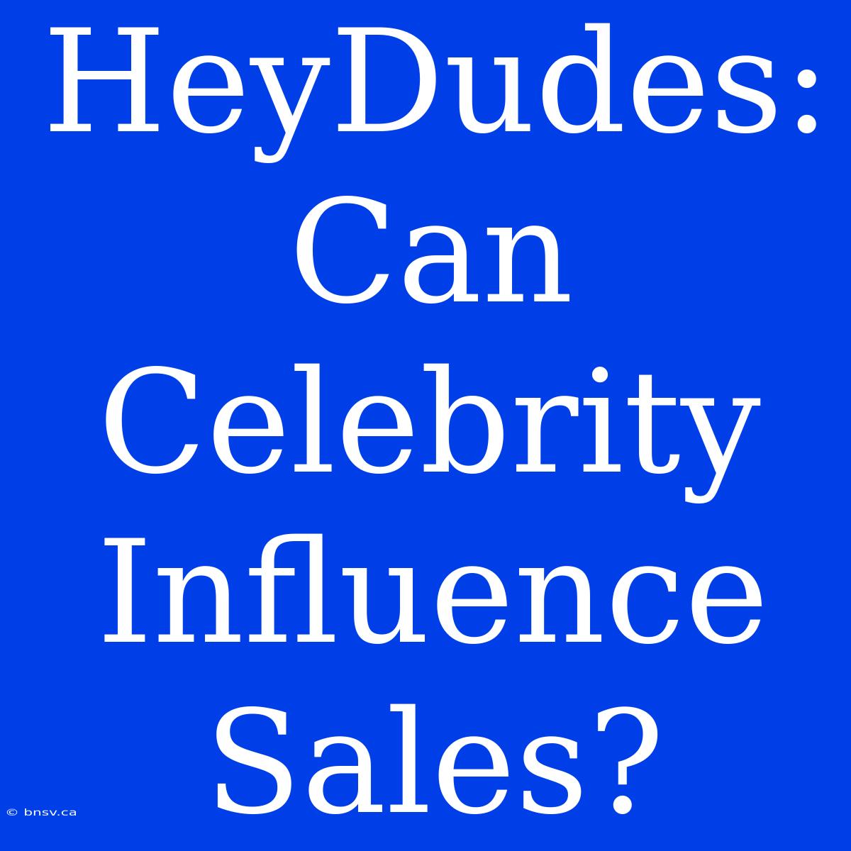 HeyDudes: Can Celebrity Influence Sales?