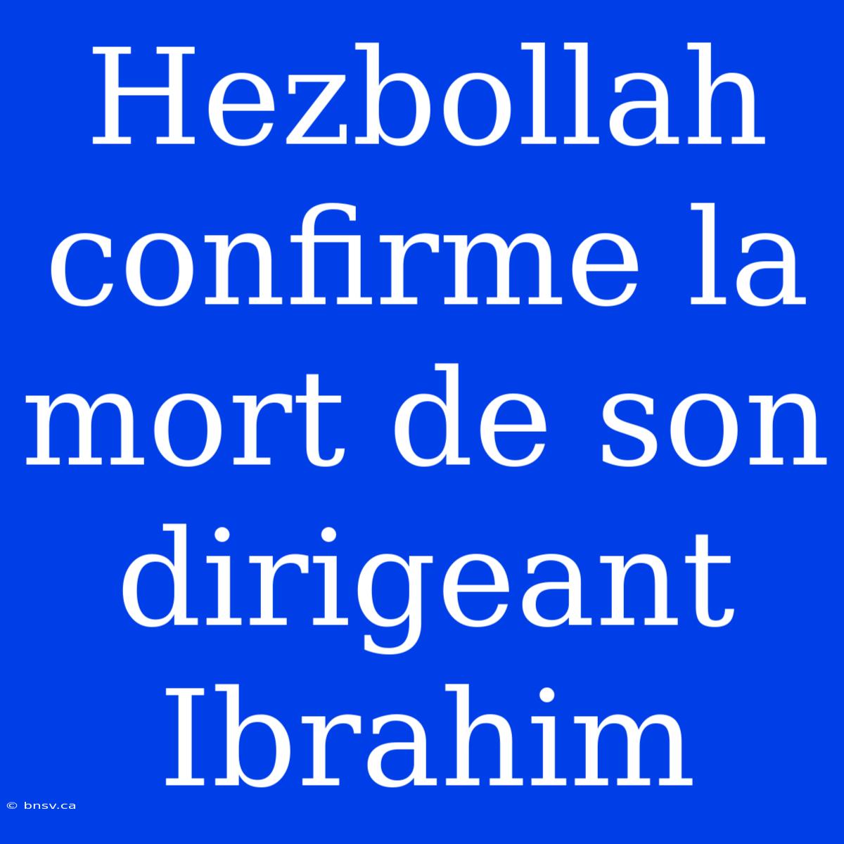 Hezbollah Confirme La Mort De Son Dirigeant Ibrahim