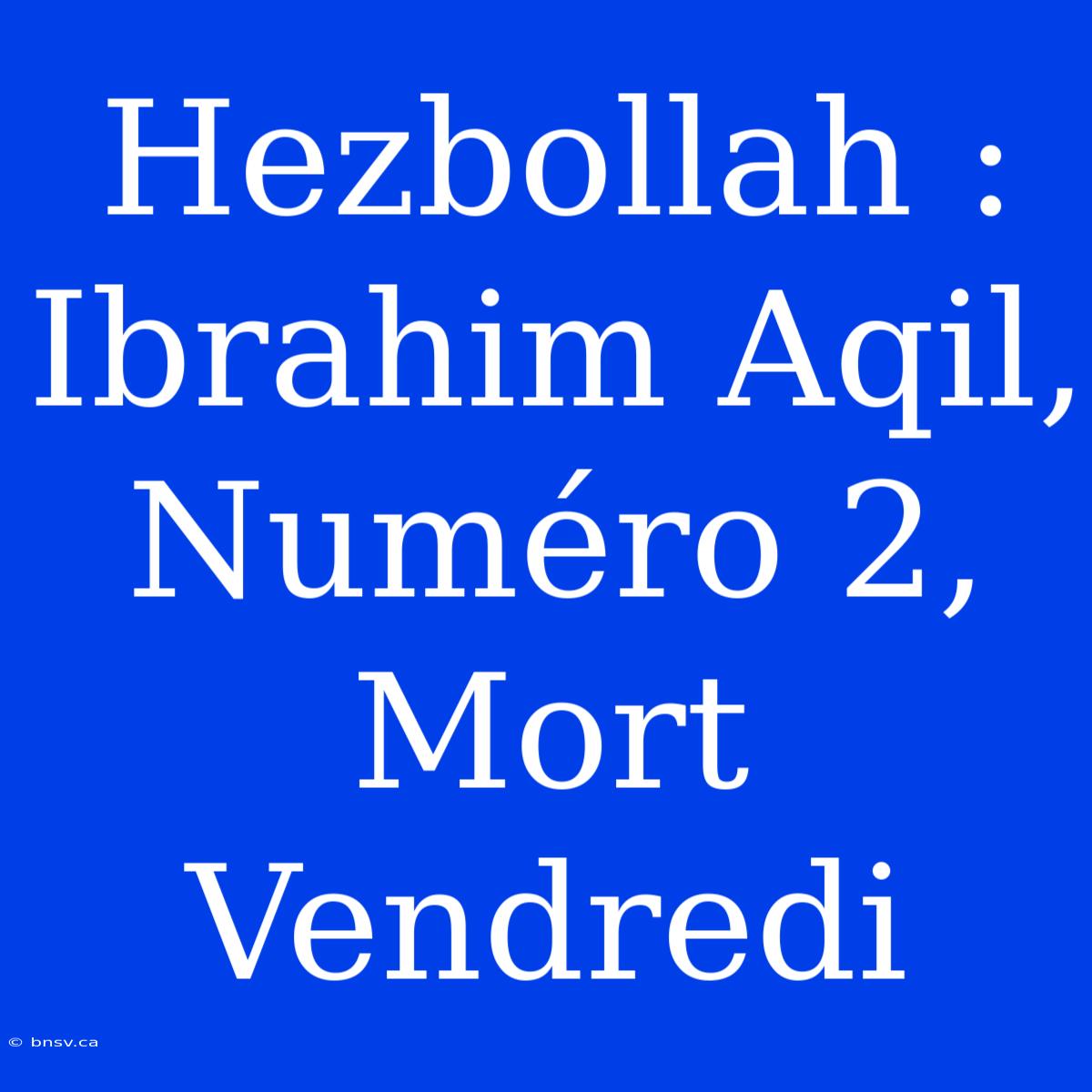 Hezbollah : Ibrahim Aqil, Numéro 2, Mort Vendredi