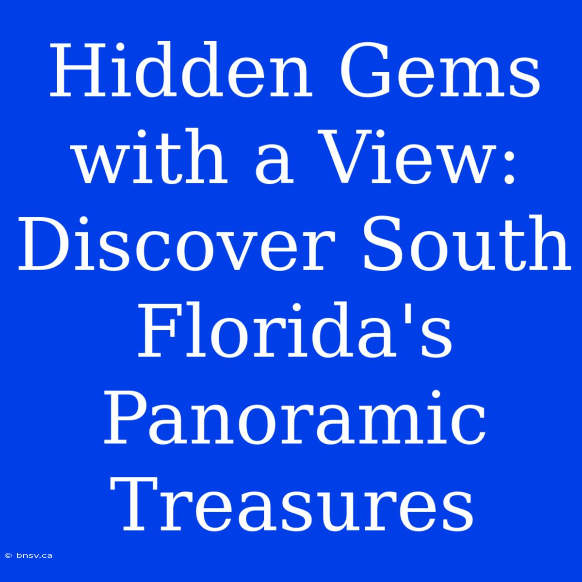 Hidden Gems With A View: Discover South Florida's Panoramic Treasures