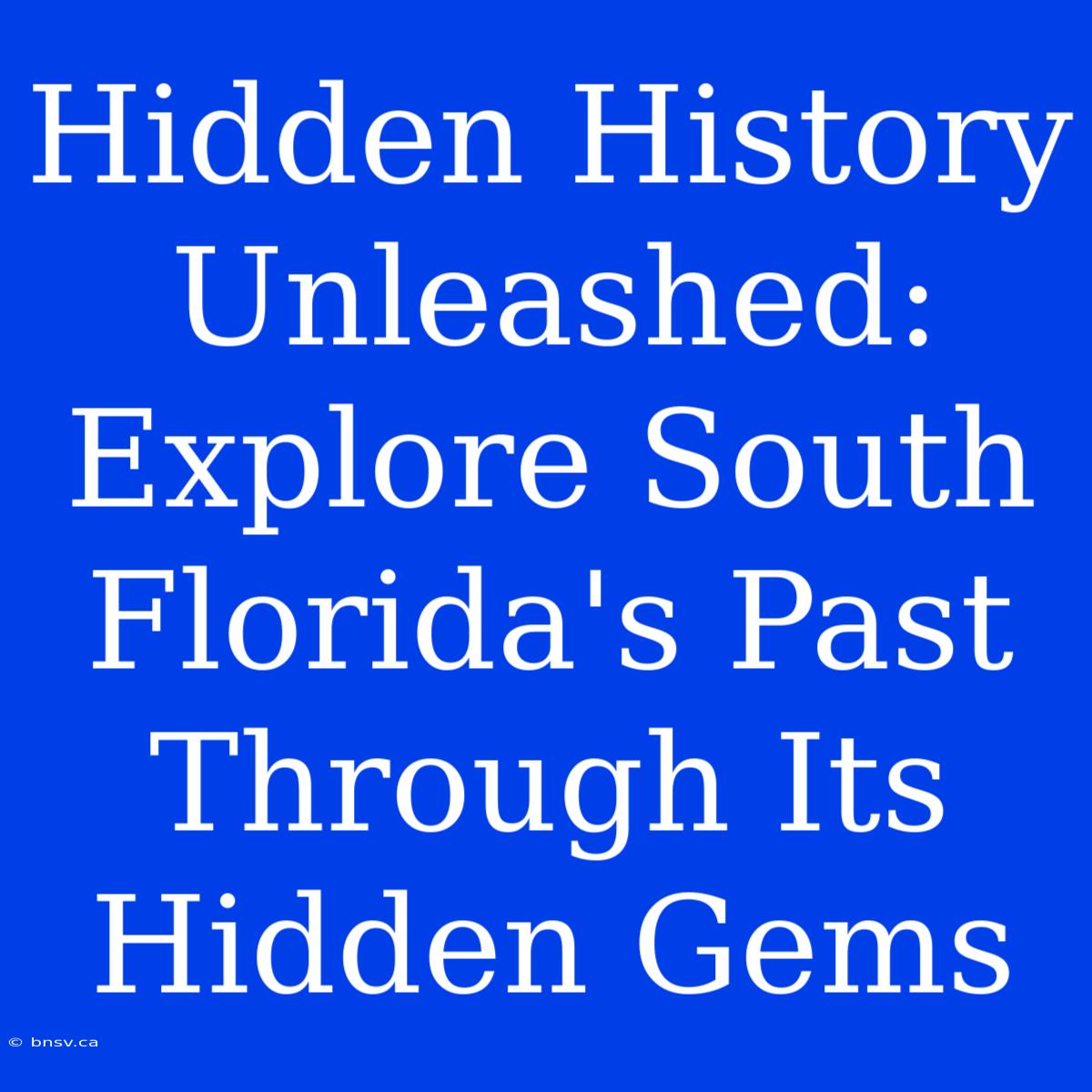 Hidden History Unleashed: Explore South Florida's Past Through Its Hidden Gems