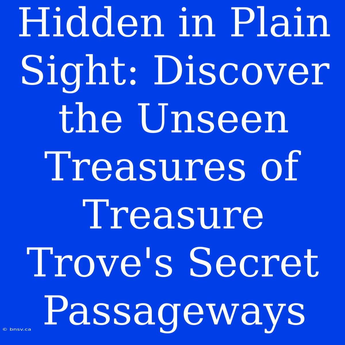 Hidden In Plain Sight: Discover The Unseen Treasures Of Treasure Trove's Secret Passageways