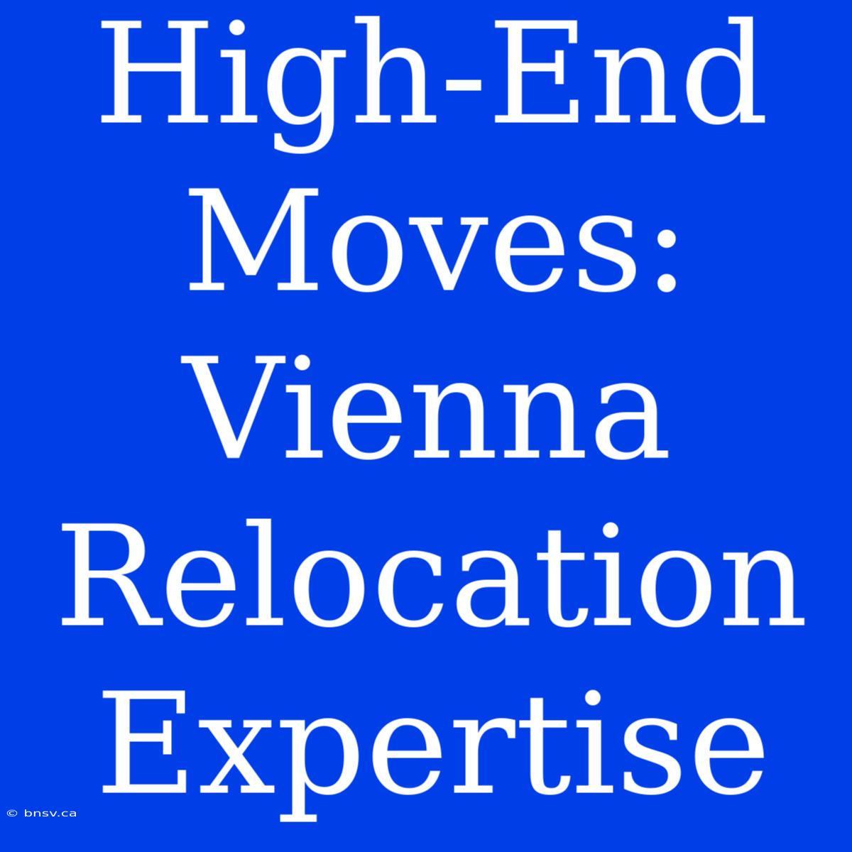 High-End Moves: Vienna Relocation Expertise